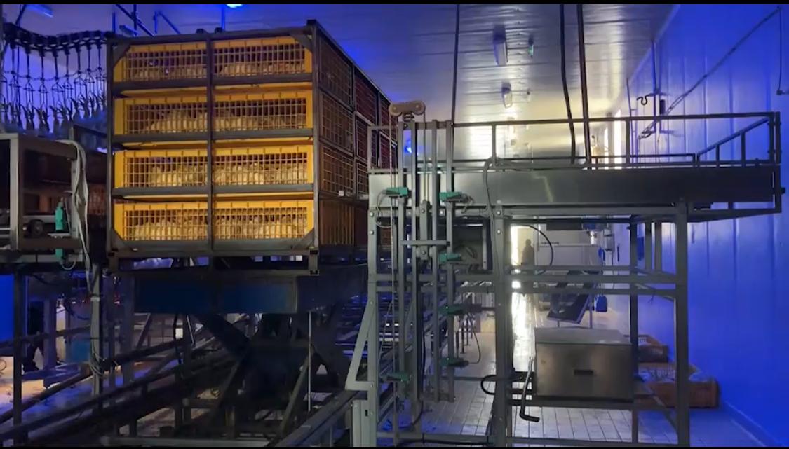Container Metalic Transport Pasari - imagine 3