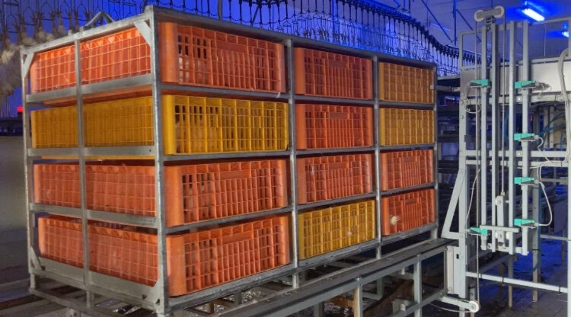 Container Metalic Transport Pasari - imagine 4