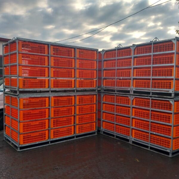 Container Metalic Transport Pasari