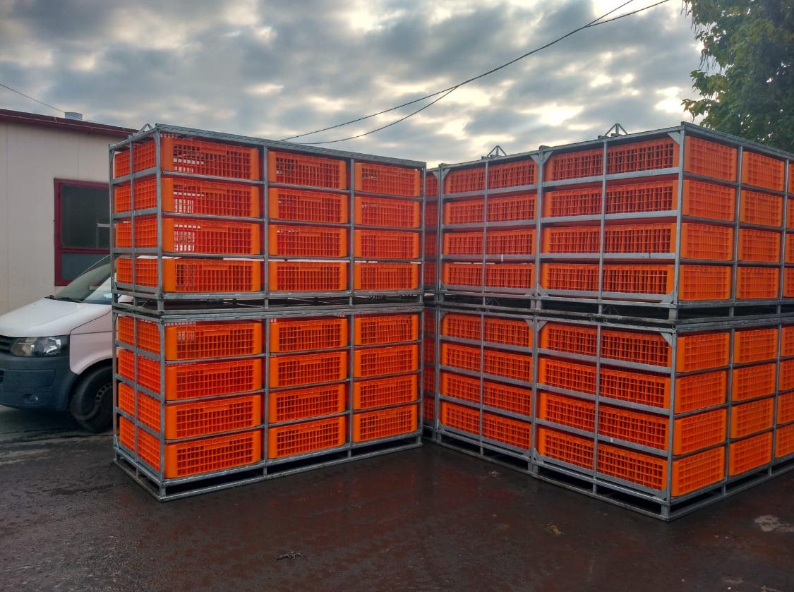 Container Metalic Transport Pasari