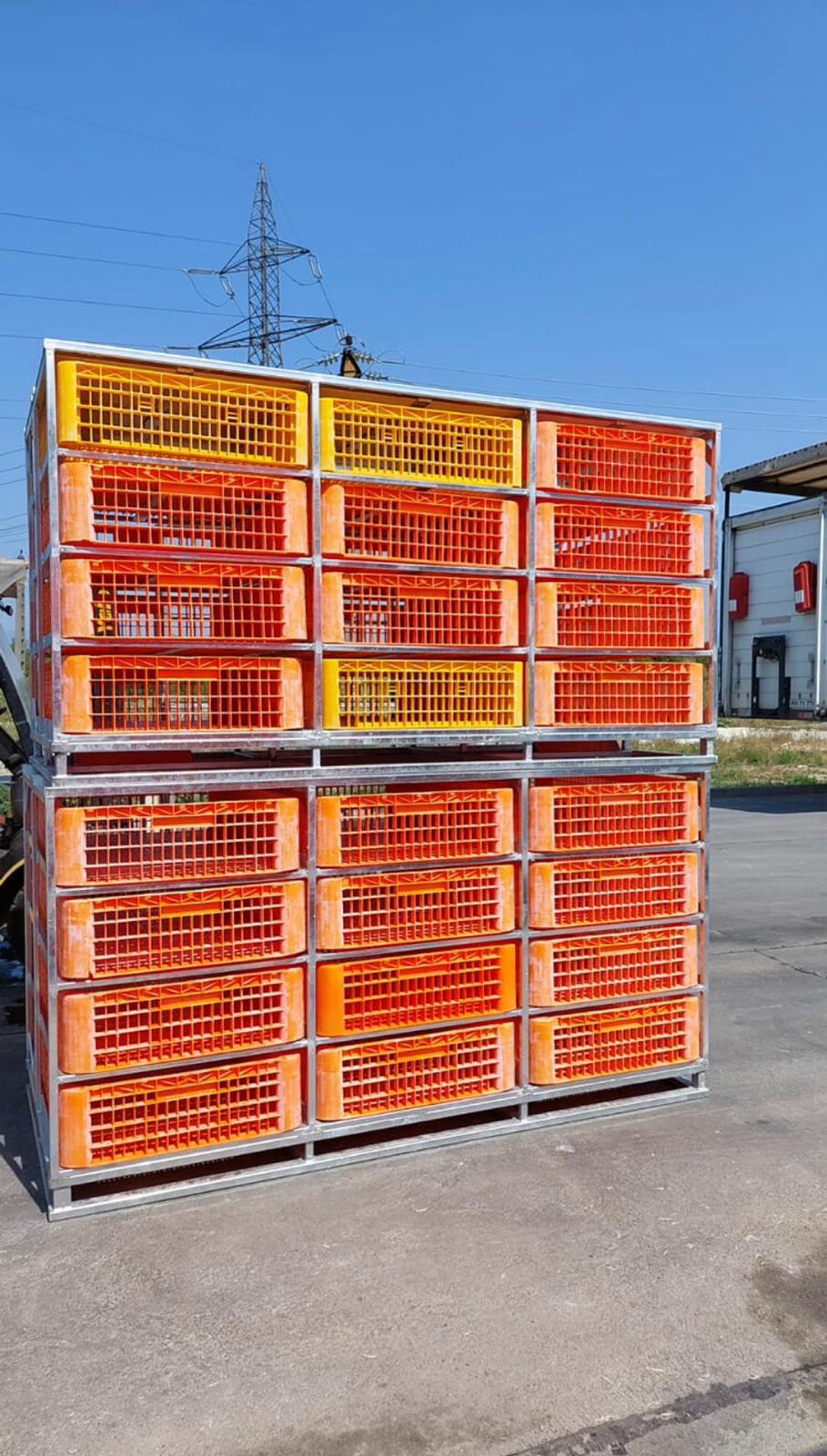 Container Metalic Transport Pasari - imagine 7